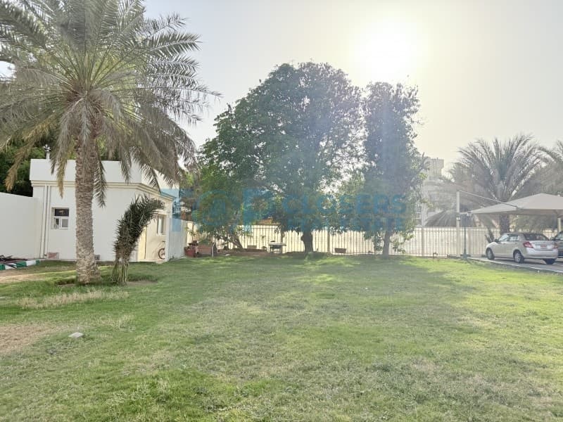 Listing Image 18